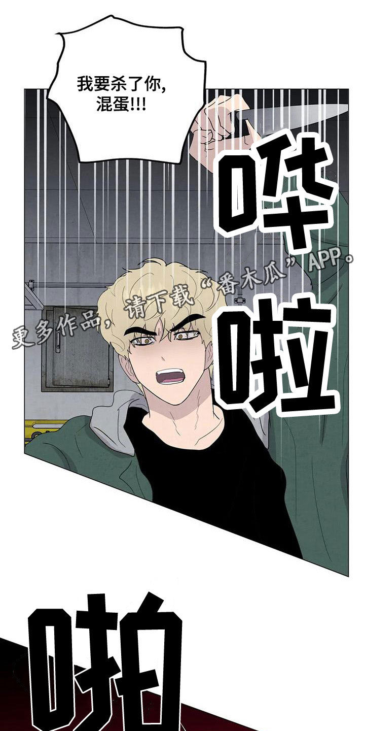 断尾求生漫画,第76章：【第二季】葬礼1图