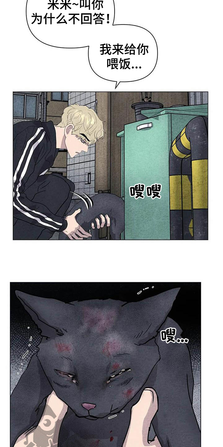 断尾求生漫画,第30章：米米受伤5图