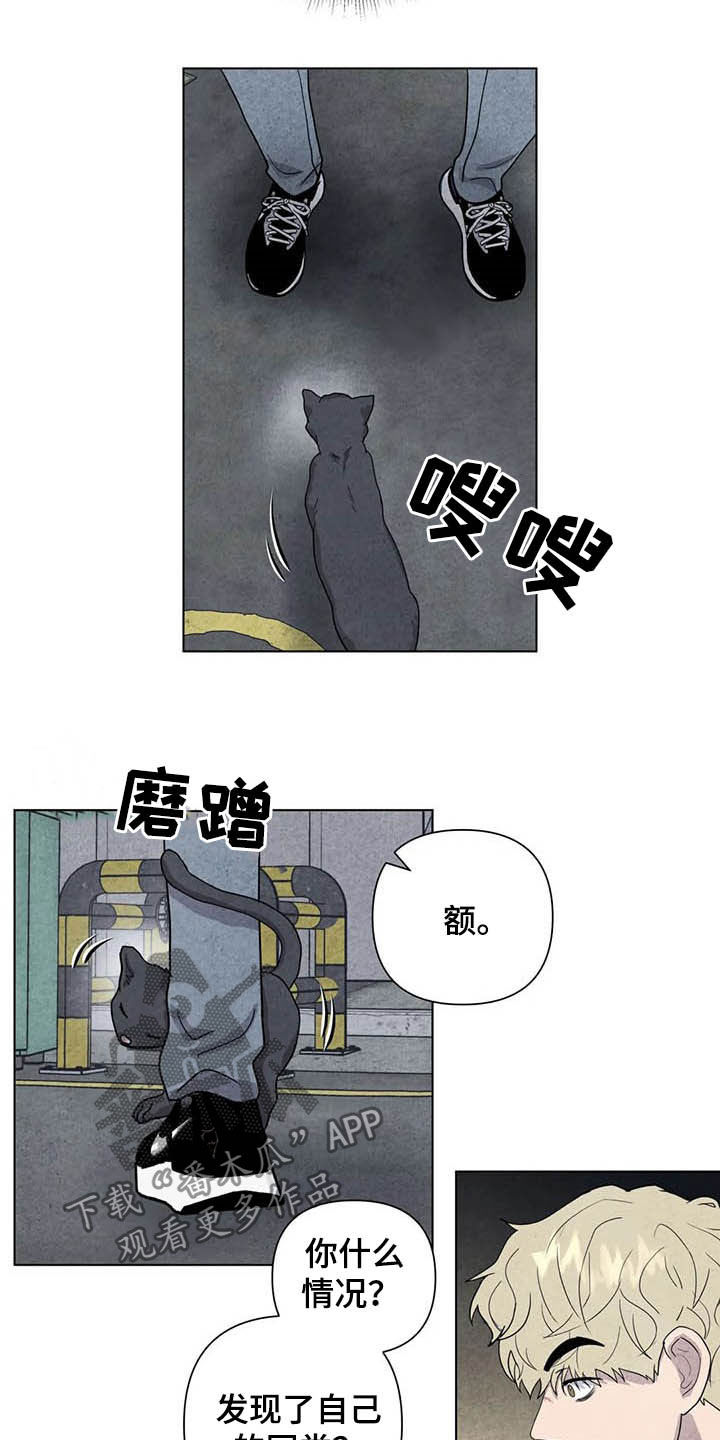 断尾求生漫画,第17章：取名2图