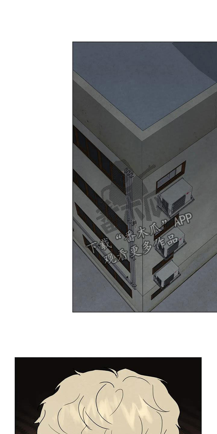 断尾求生漫画,第63章：【第二季】行动1图