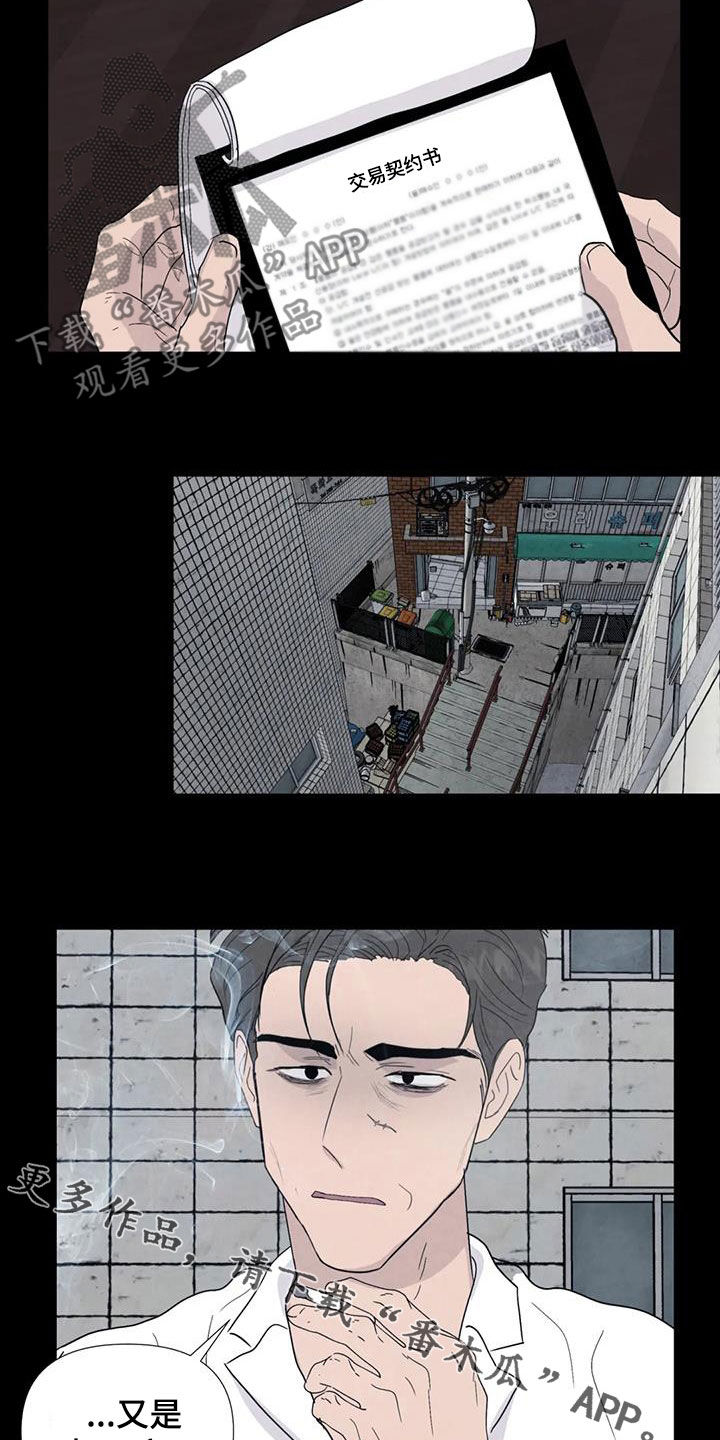 断尾求生漫画,第98章：【第二季】答案3图