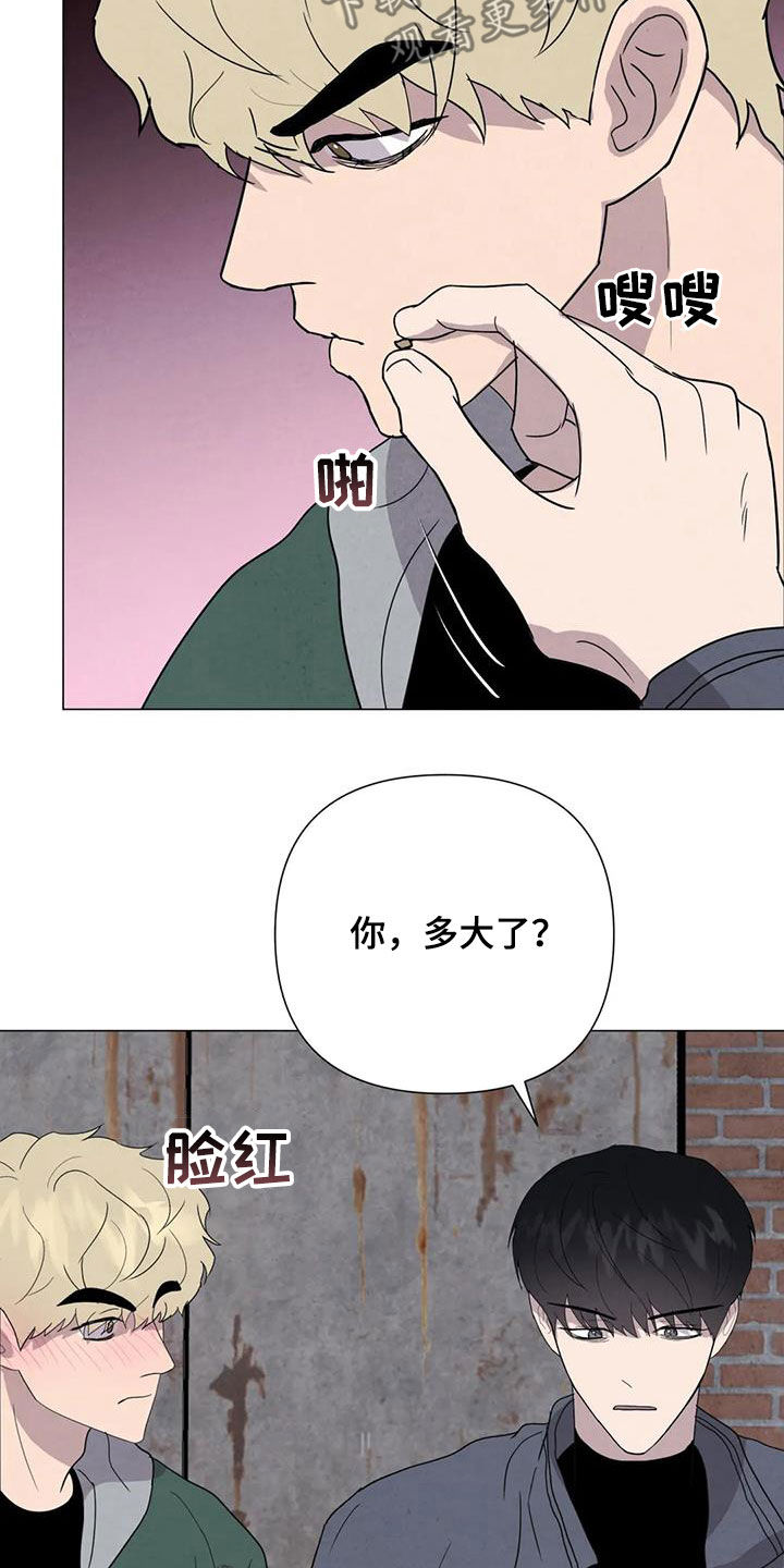 断尾求生漫画,第49章：斗犬场2图