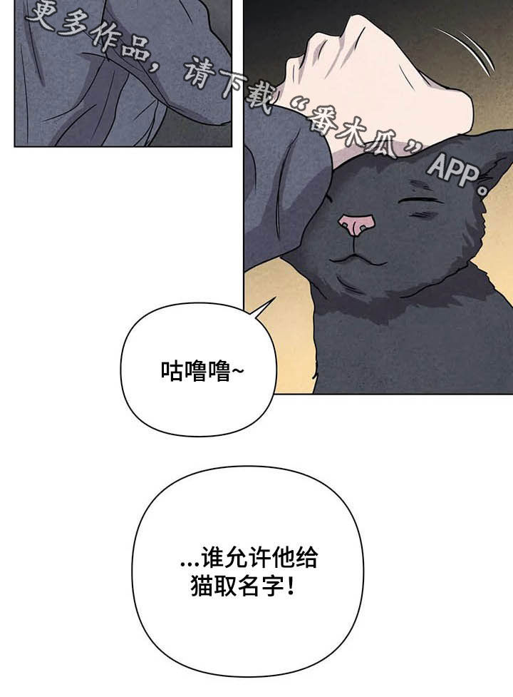 断尾求生漫画,第17章：取名5图