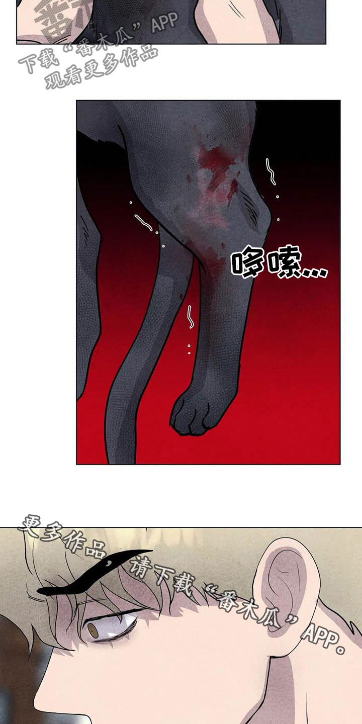 断尾求生漫画,第30章：米米受伤1图