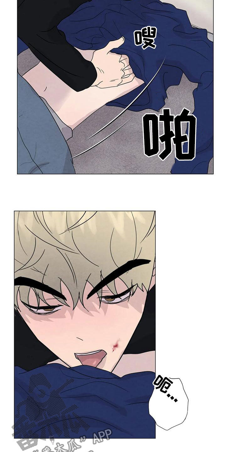 断尾求生漫画,第87章：【第二季】隔音不好1图