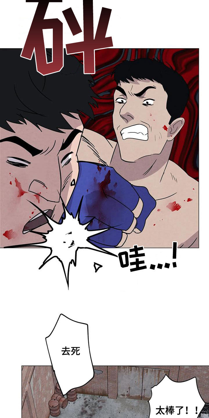 断尾求生漫画,第49章：斗犬场3图