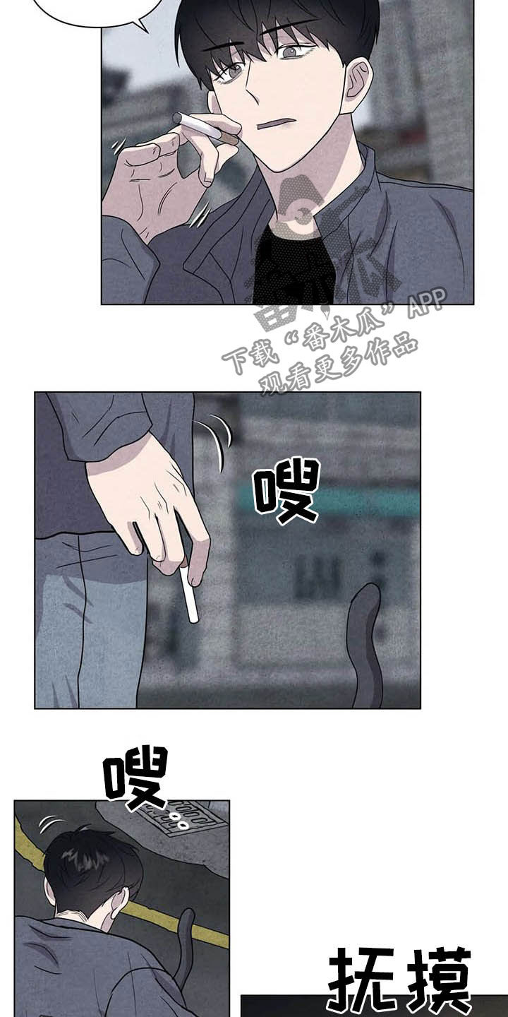 断尾求生漫画,第17章：取名4图