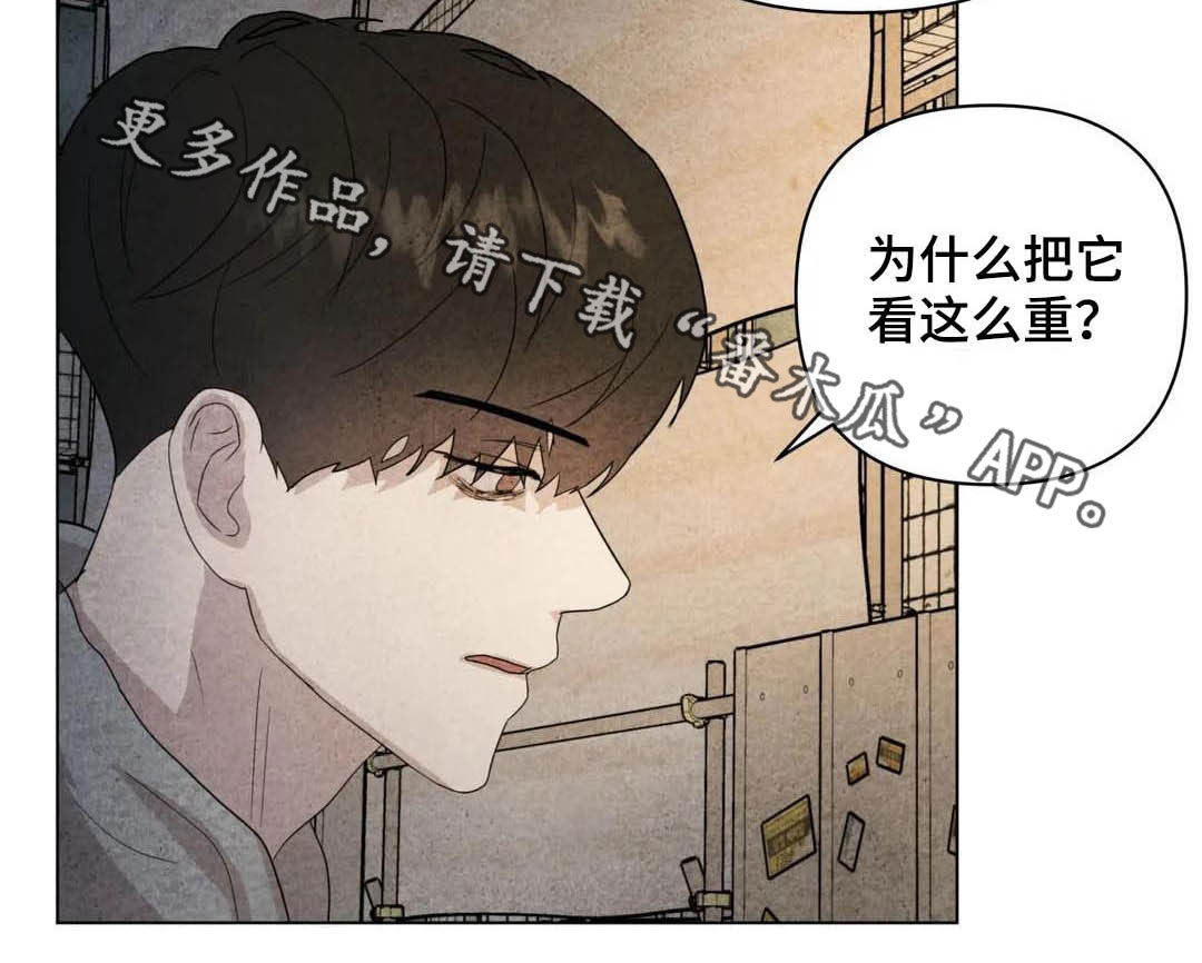 断尾求生漫画,第34章：米米死了3图