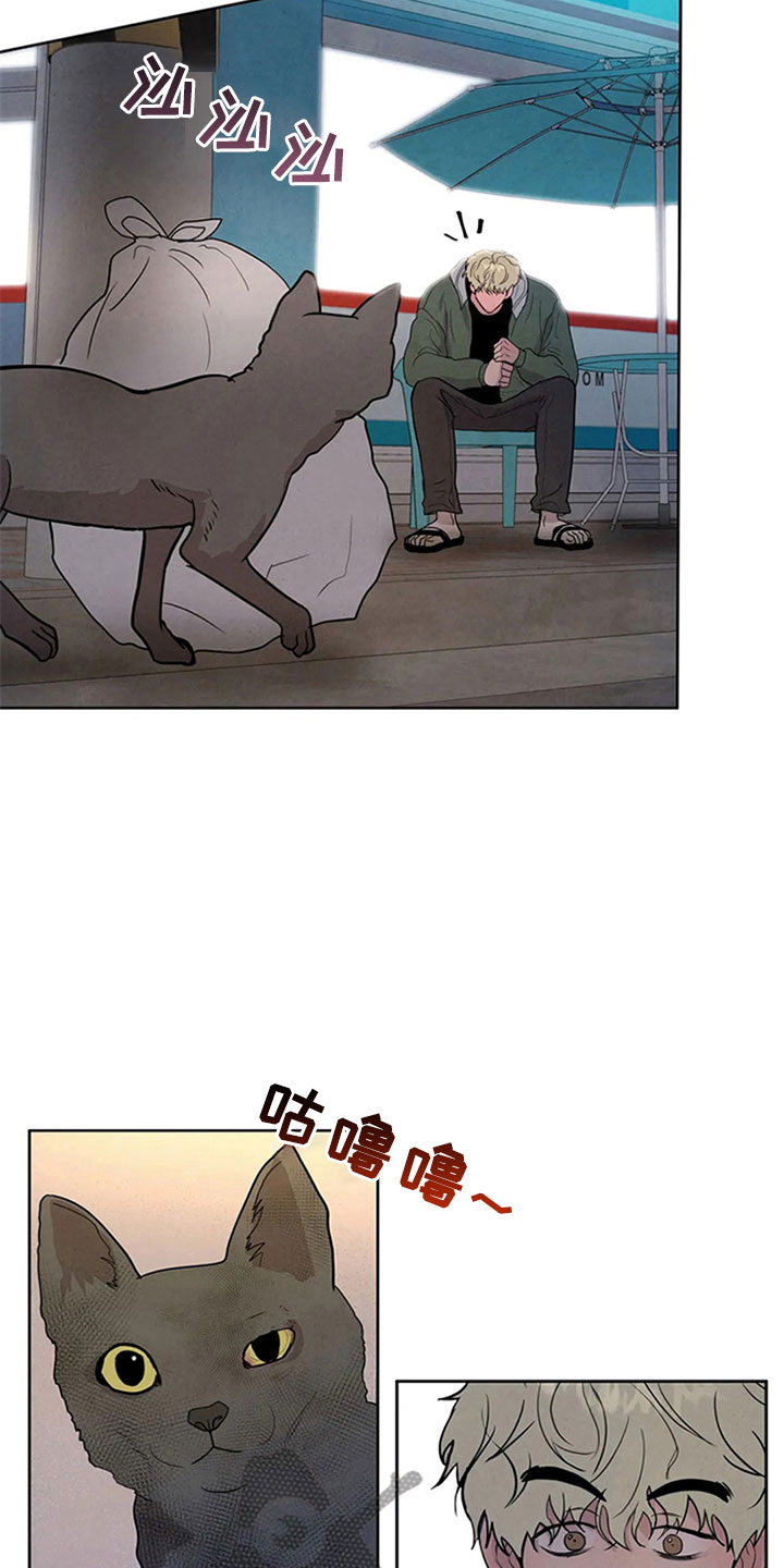 断尾求生漫画,第4章：生鱼片5图