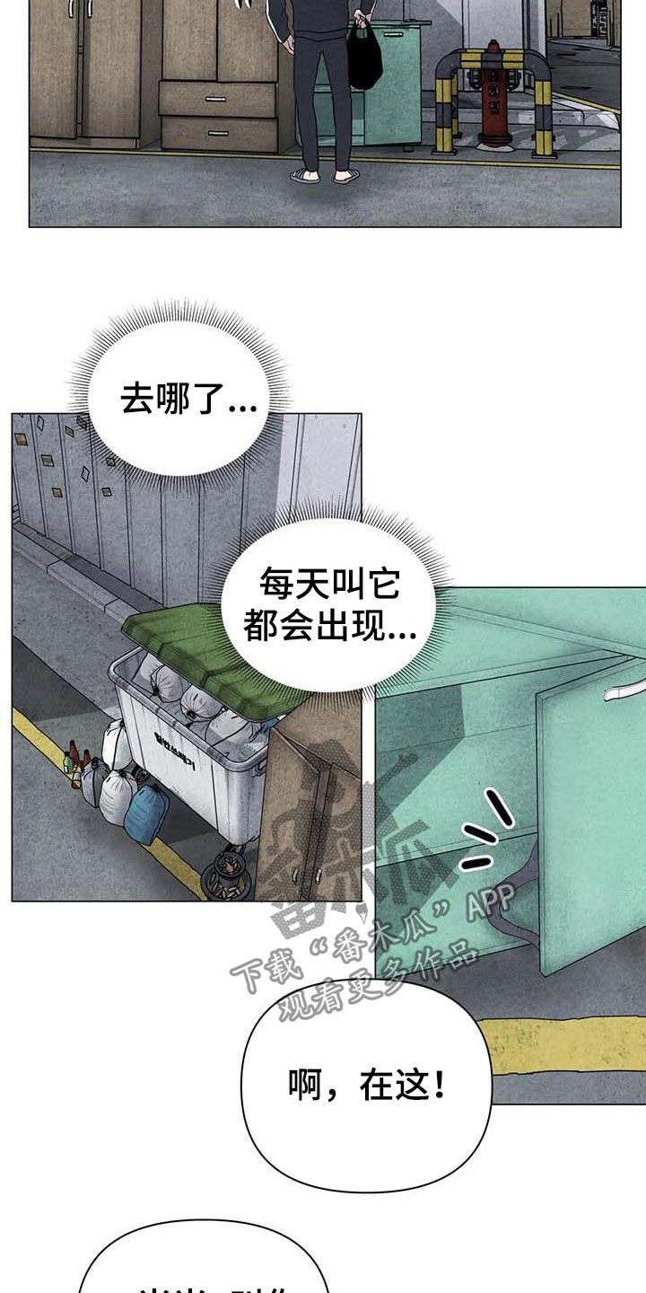 断尾求生漫画,第30章：米米受伤4图