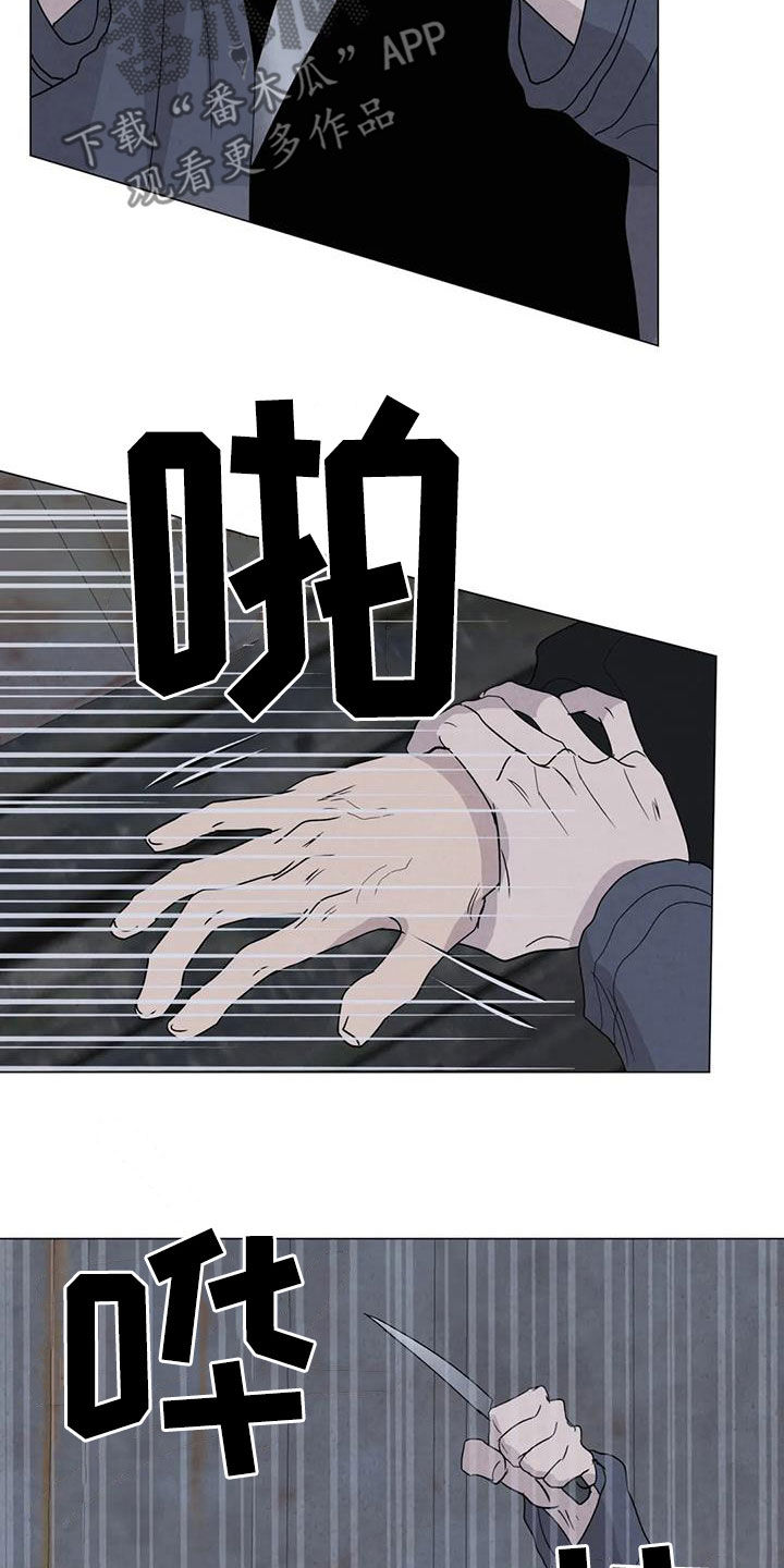 断尾求生漫画,第65章：【第二季】内情1图