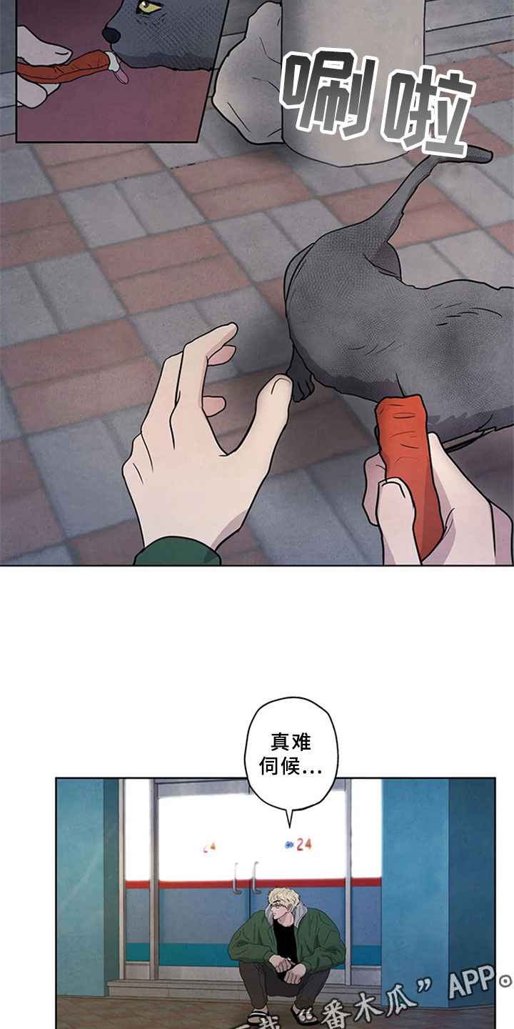 断尾求生漫画,第4章：生鱼片1图