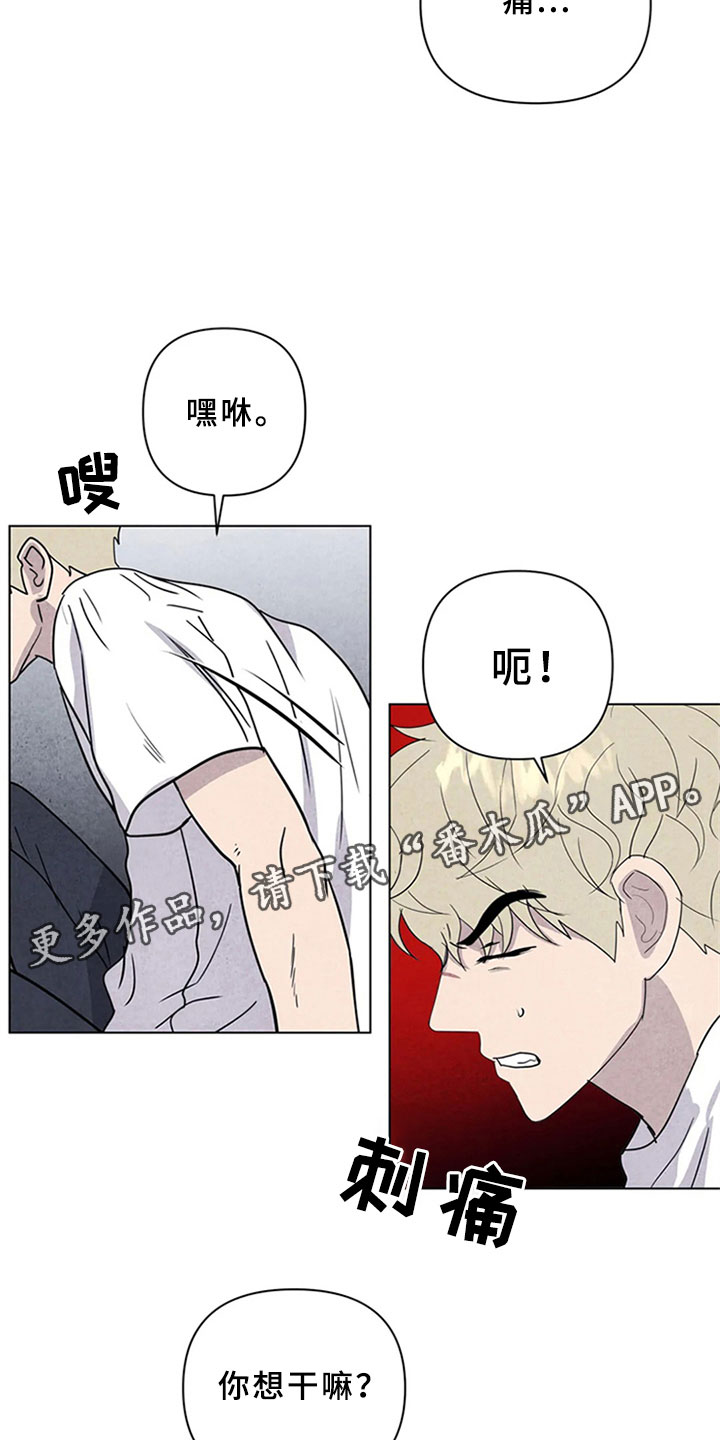 断尾求生漫画,第15章：帮忙3图