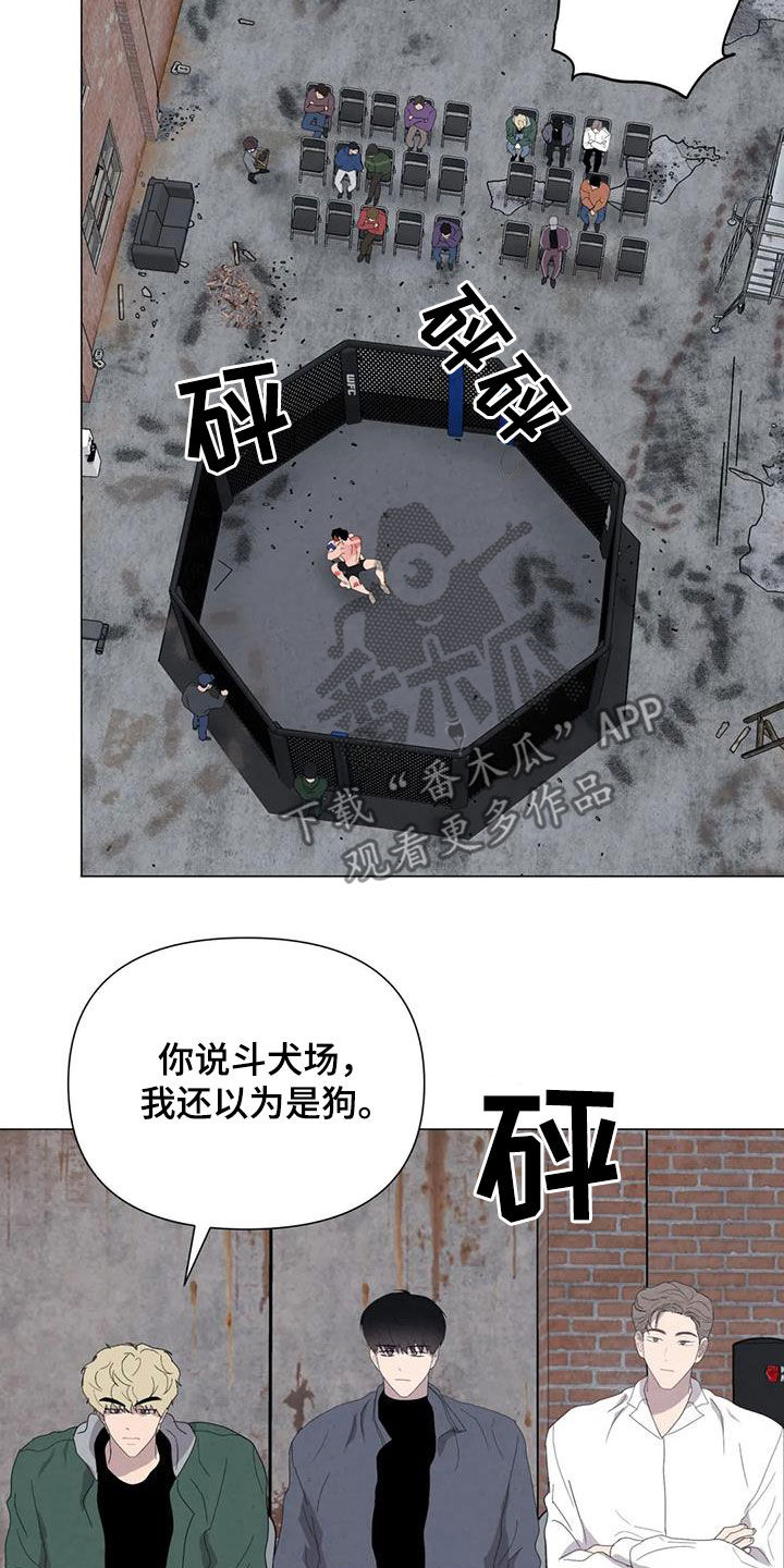 断尾求生漫画,第49章：斗犬场4图