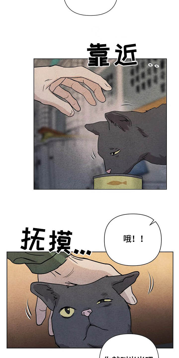 断尾求生漫画,第17章：取名2图