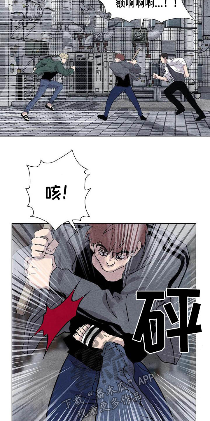 断尾求生漫画,第32章：打架2图