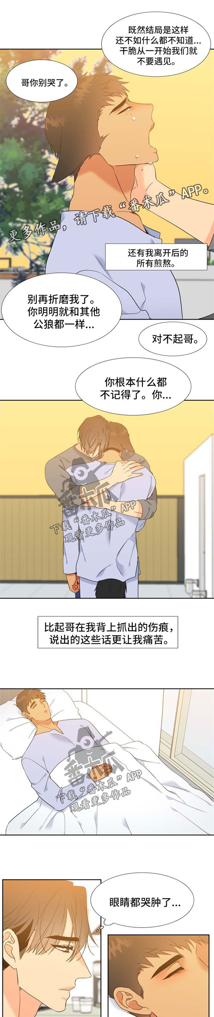 狼的香气漫画,第208章：【第二季】薛贤的记忆4图