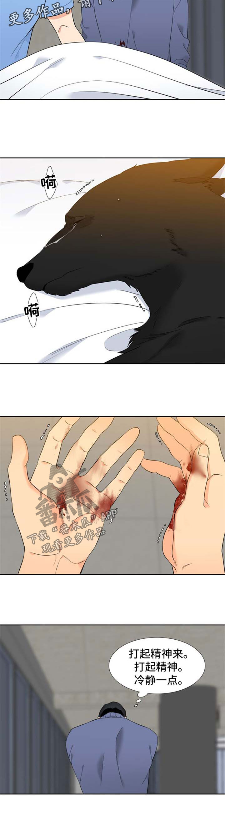 狼的香气漫画,第205章：【第二季】生产5图