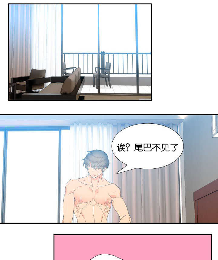 狼的香气漫画,第33章：很依赖你3图
