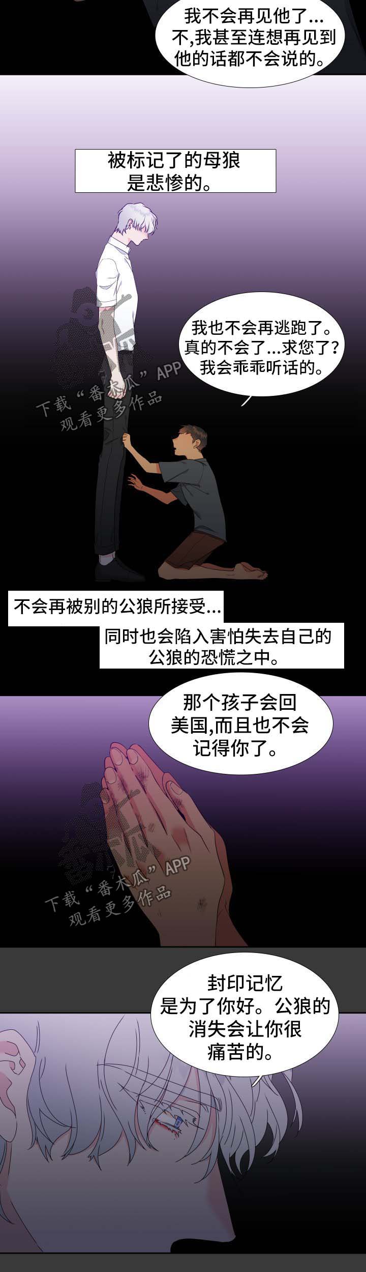 狼的香气漫画,第145章：【第二季】捏造记忆3图