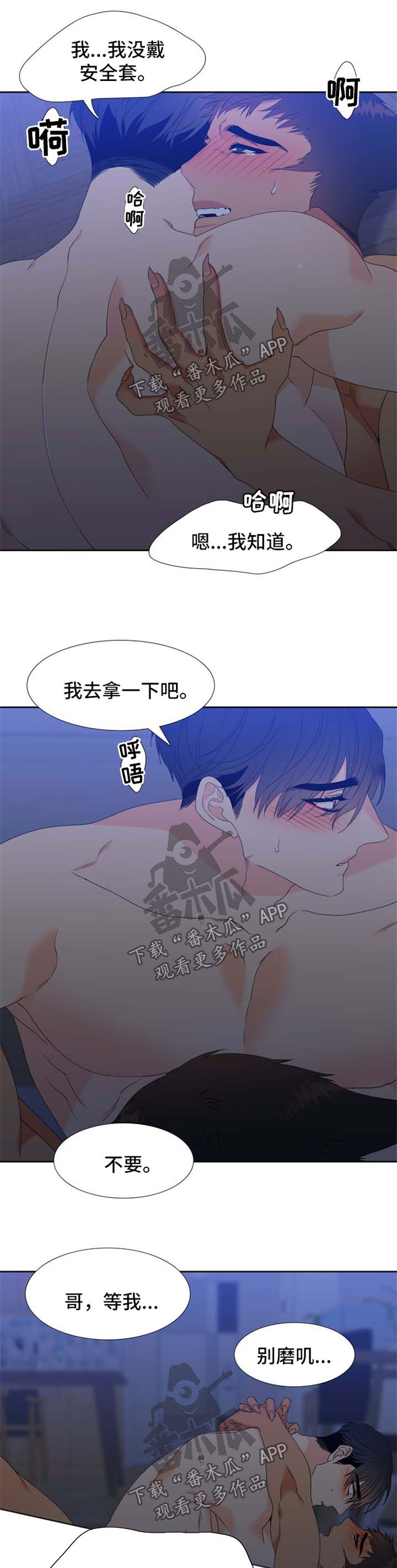 狼的香气漫画,第160章：【第二季】繁殖期的母狼5图