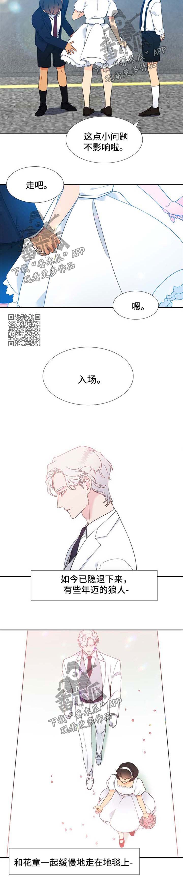 狼的香气漫画,第250章：【第二季】他们的婚礼【完结】4图