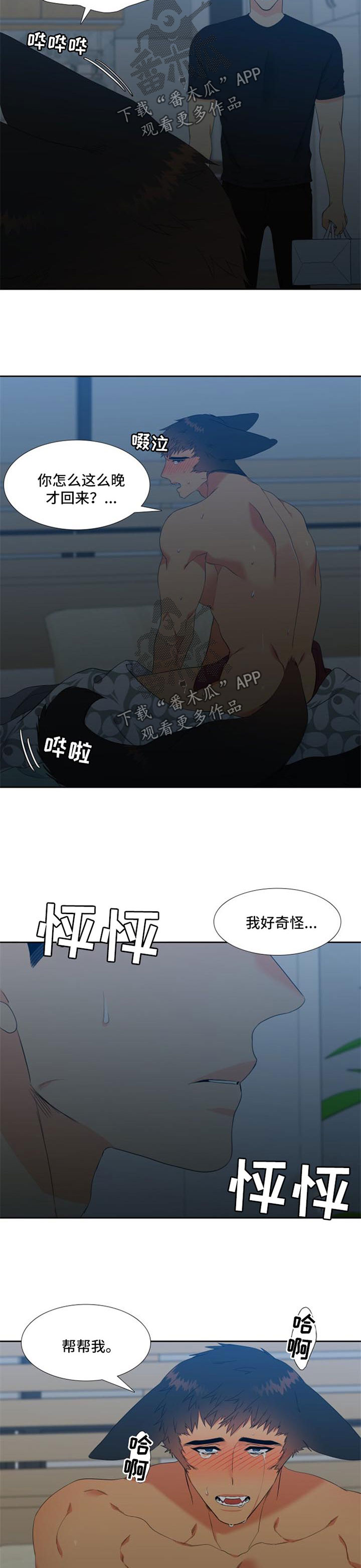 狼的香气漫画,第159章：【第二季】帮帮我1图