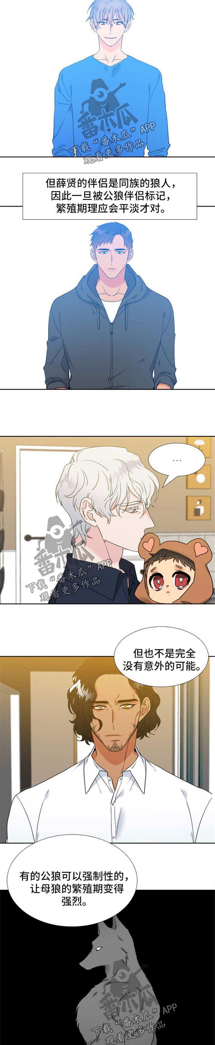 狼的香气漫画,第225章：【第二季】新的研究对象3图