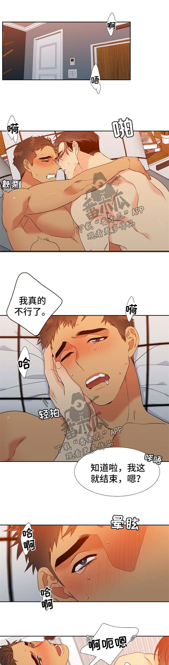 狼的香气漫画,第241章：【第二季】长大1图