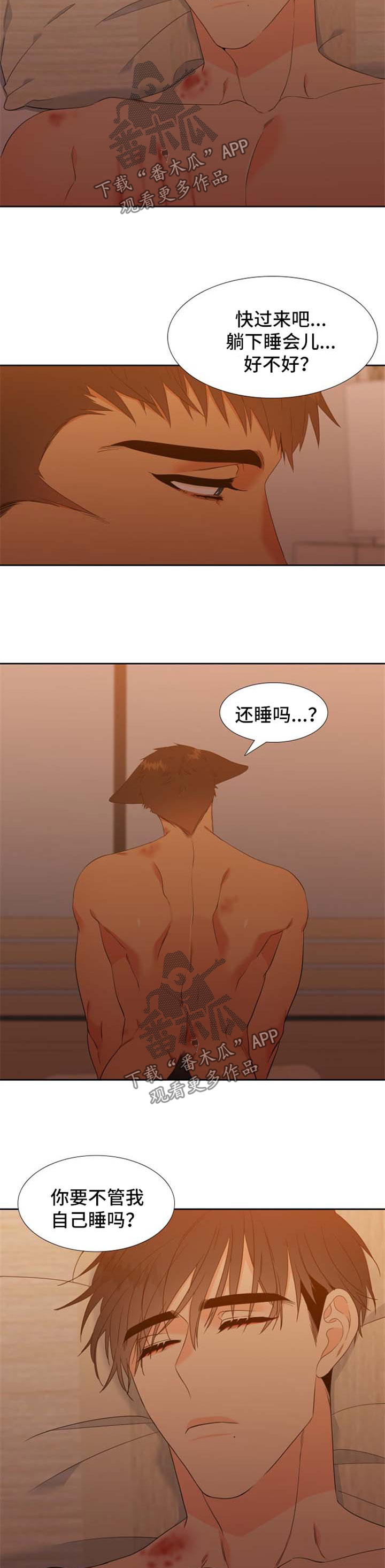狼的香气漫画,第161章：【第二季】守护骨肉3图