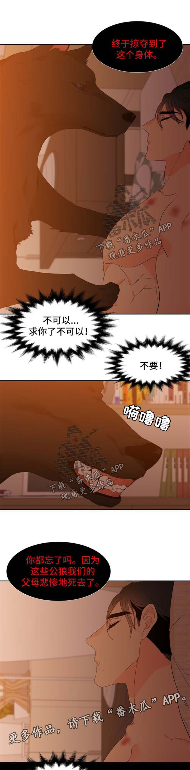 狼的香气漫画,第161章：【第二季】守护骨肉5图