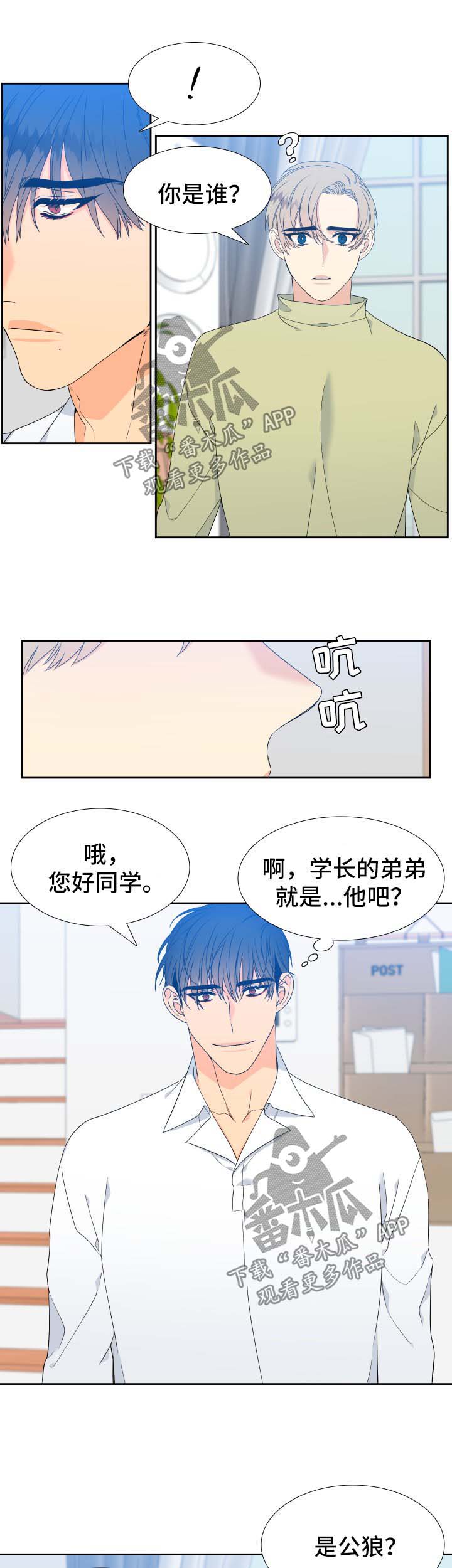 狼的香气漫画,第141章：【第二季】只有我能叫哥5图