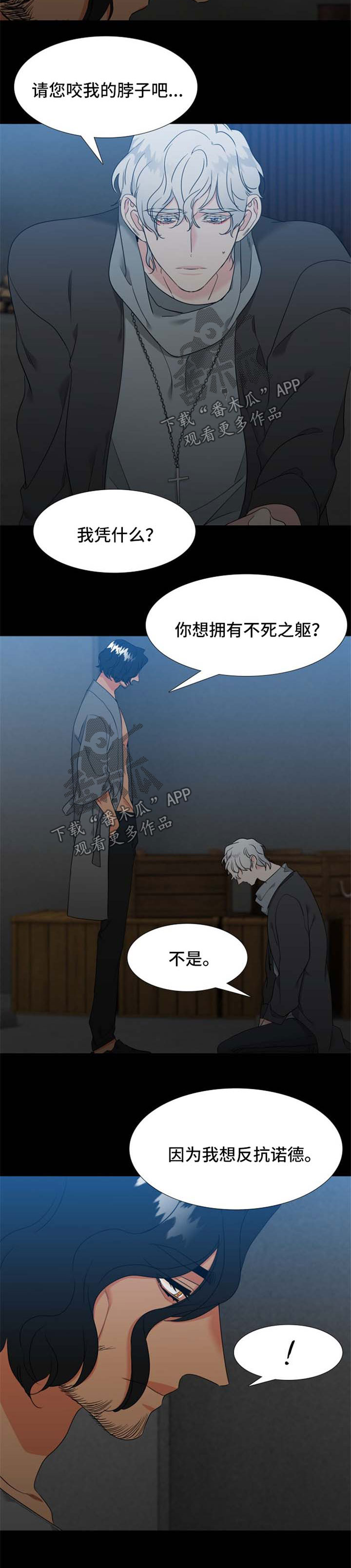 狼的香气漫画,第202章：【第二季】办婚礼2图