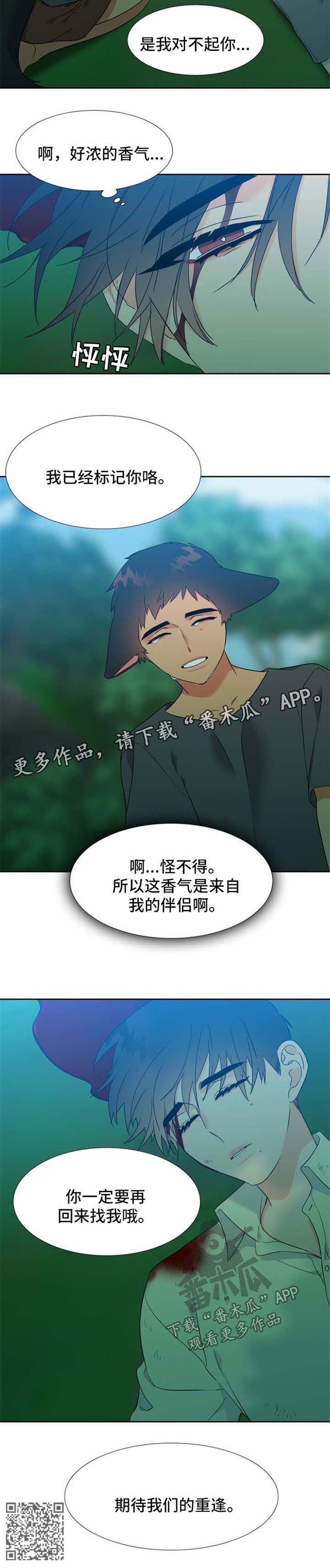 狼的香气漫画,第210章：【第二季】期待重逢2图