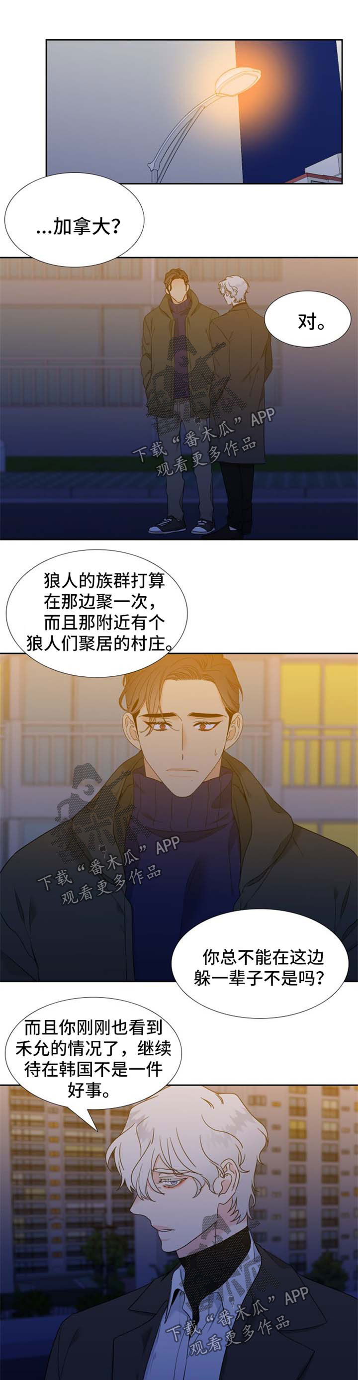 狼的香气漫画,第243章：【第二季】加拿大1图