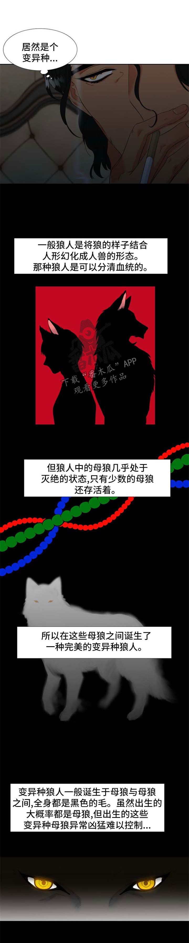 狼的香气漫画,第152章：【第二季】MT邀约2图