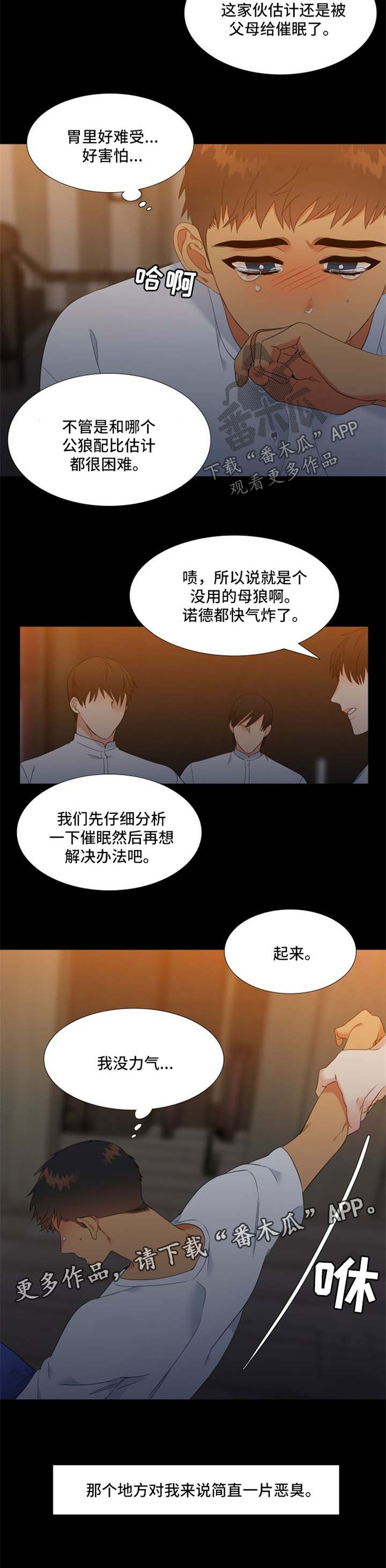 狼的香气漫画,第175章：【第二季】回忆1图