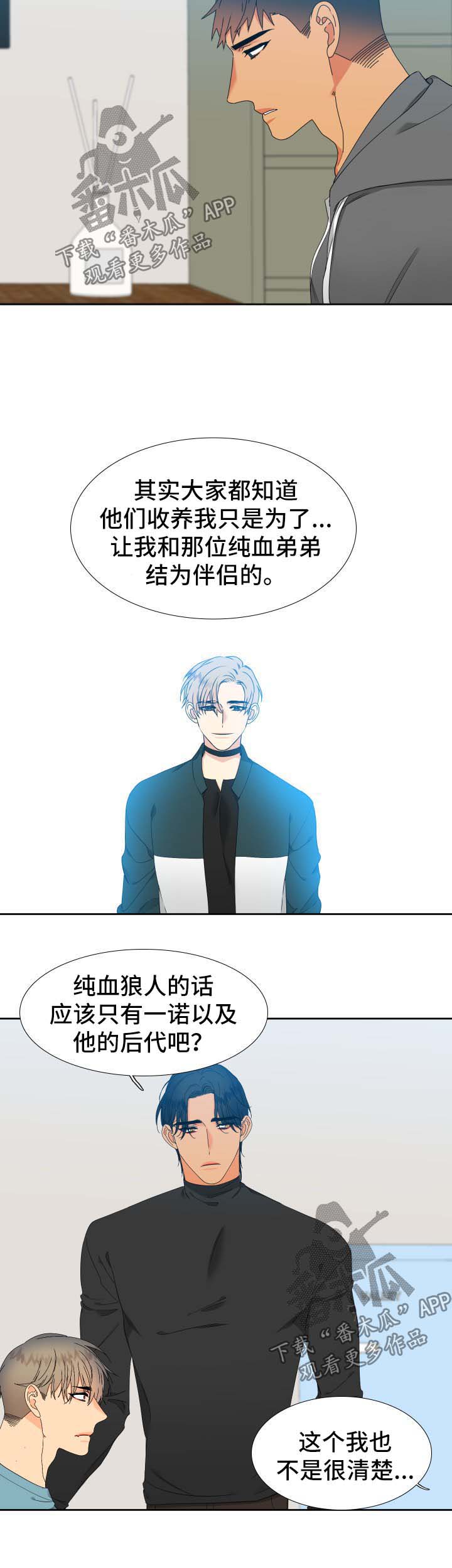 狼的香气漫画,第145章：【第二季】捏造记忆4图