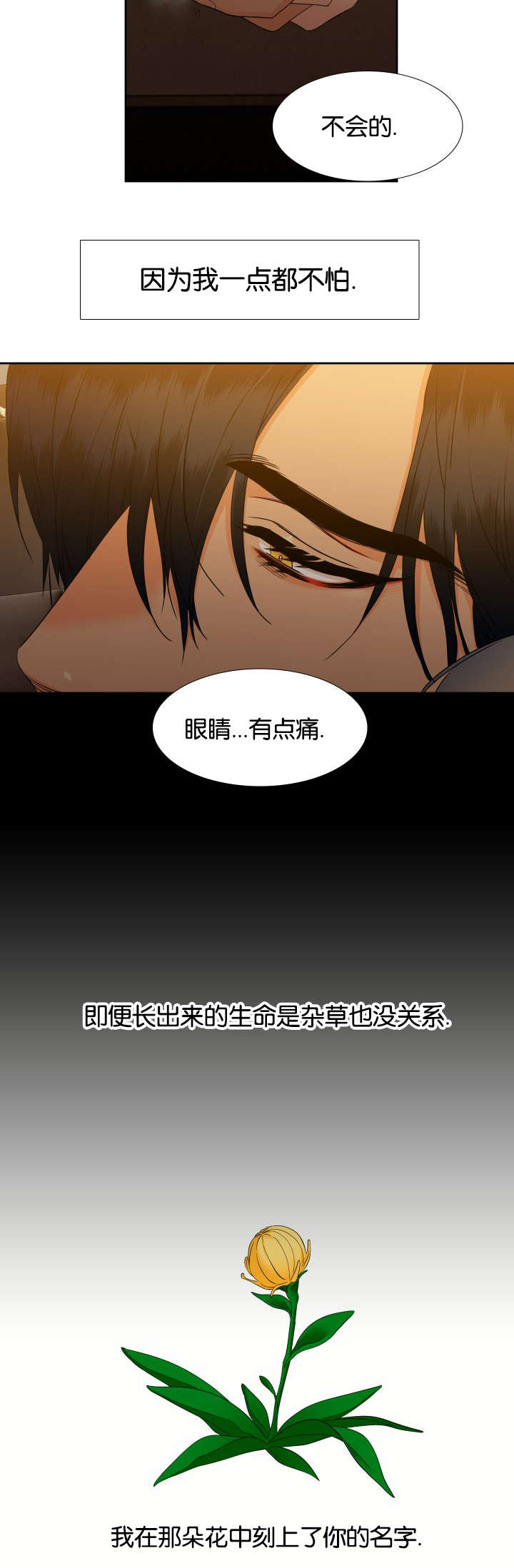 狼的香气漫画,第79章：每天一个3图