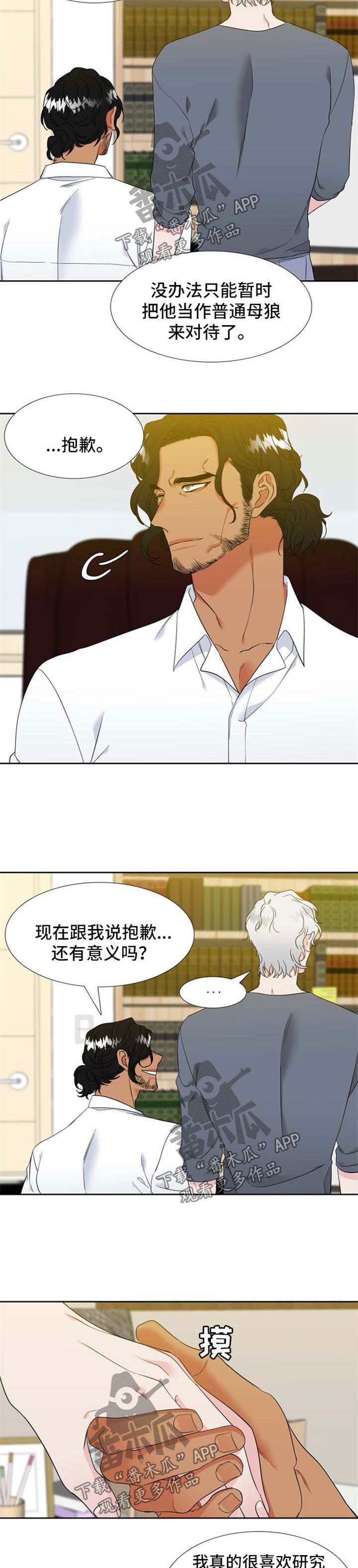 狼的香气漫画,第202章：【第二季】办婚礼2图