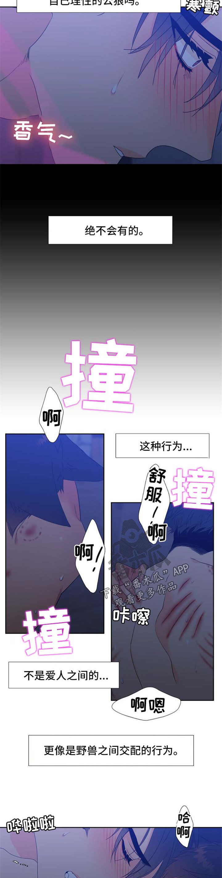 狼的香气漫画,第160章：【第二季】繁殖期的母狼2图