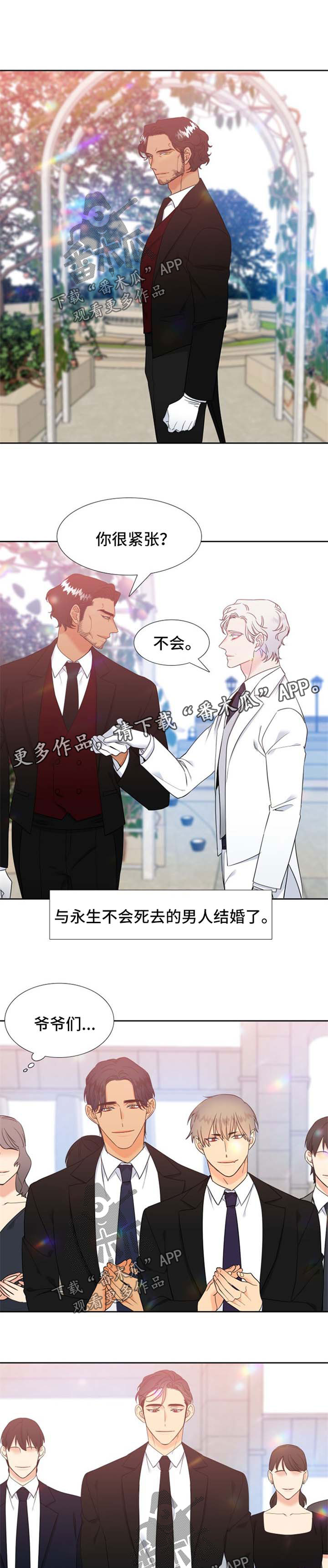 狼的香气漫画,第250章：【第二季】他们的婚礼【完结】5图