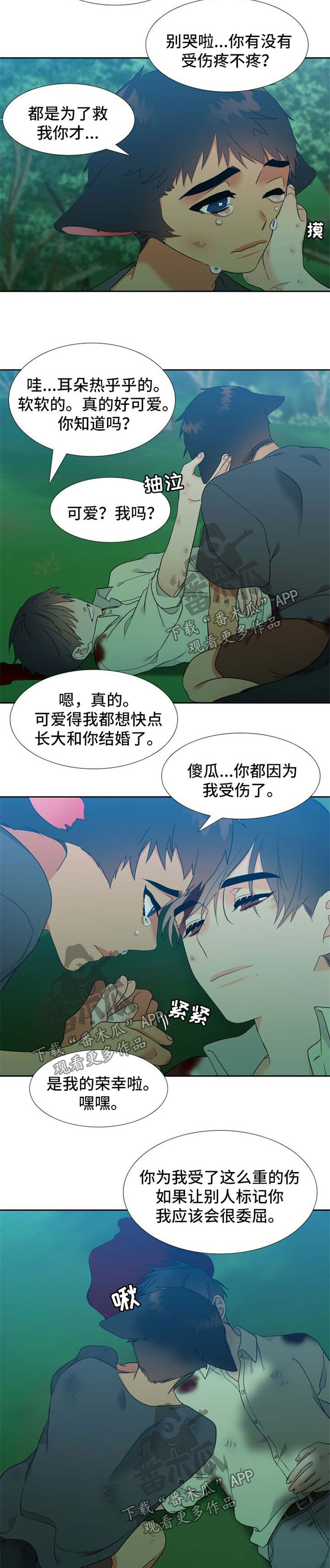 狼的香气漫画,第210章：【第二季】期待重逢1图