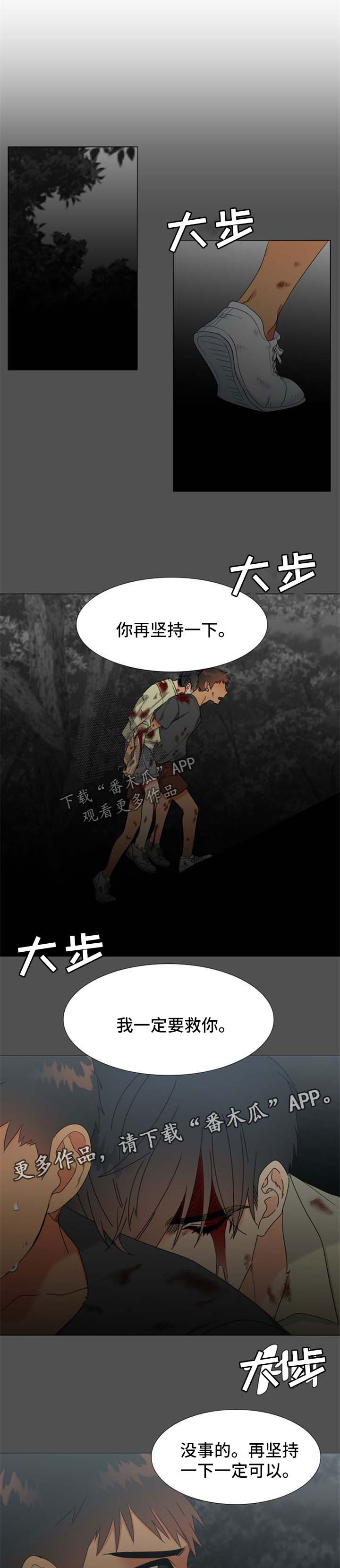 狼的香气漫画,第211章：【第二季】不是我可以觊觎的人1图