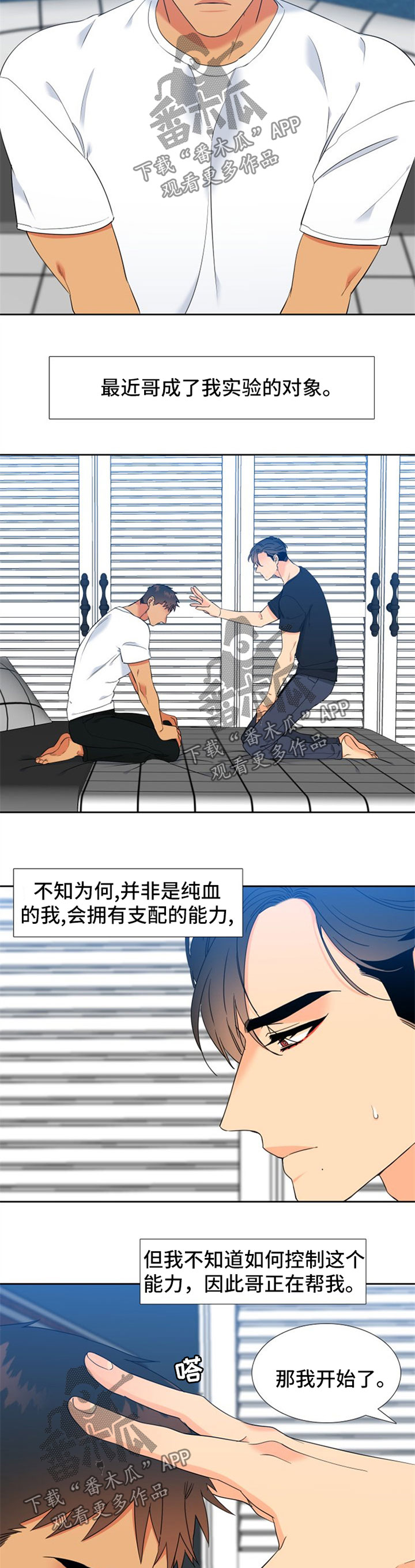 狼的香气漫画,第237章：【第二季】下一任狼族首领2图