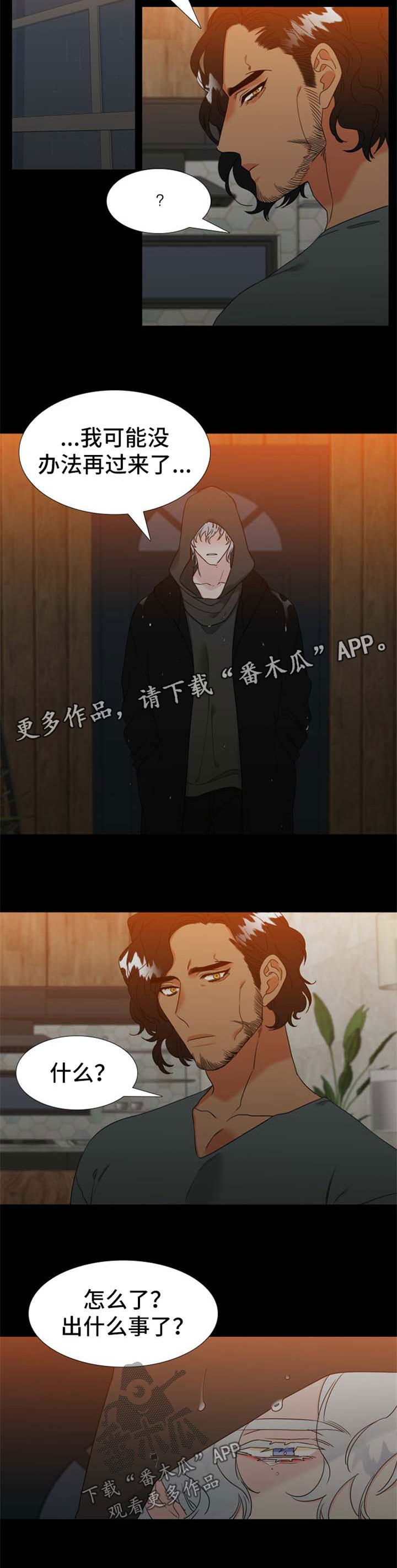 狼的香气漫画,第229章：【第二季】还没到尽头3图