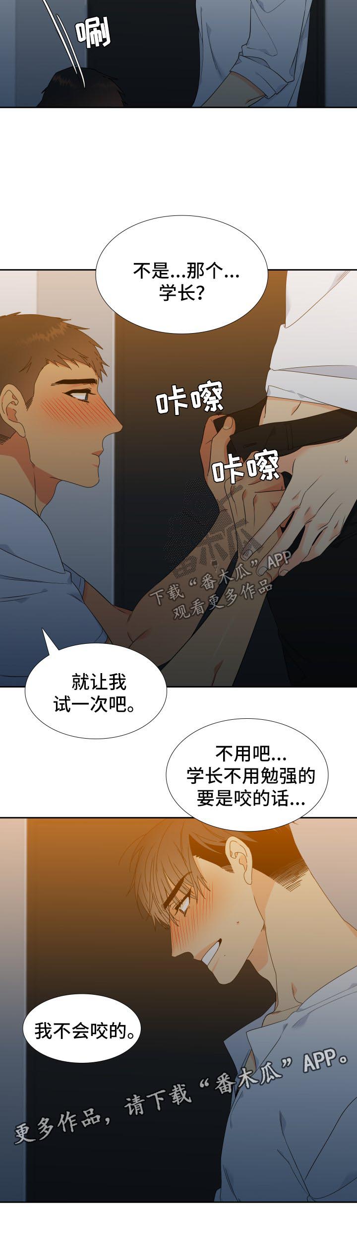 狼的香气漫画,第132章：【第二季】微醺5图