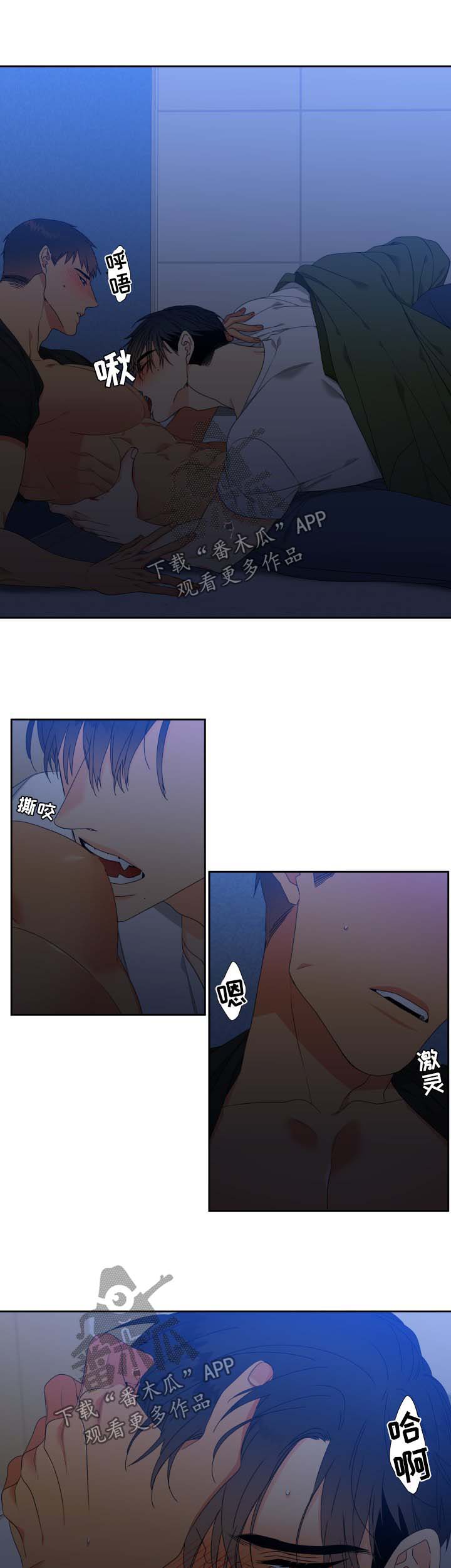 狼的香气漫画,第117章：【第二季】不能有失误1图