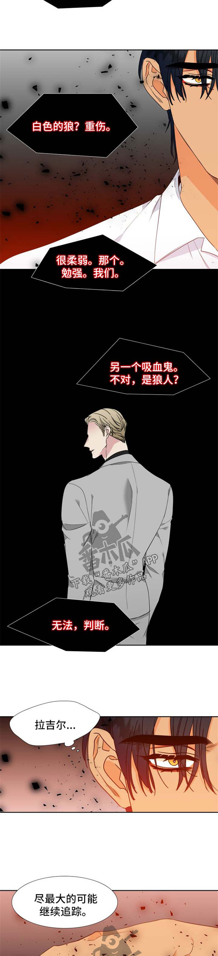 狼的香气漫画,第181章：【第二季】记忆回溯2图