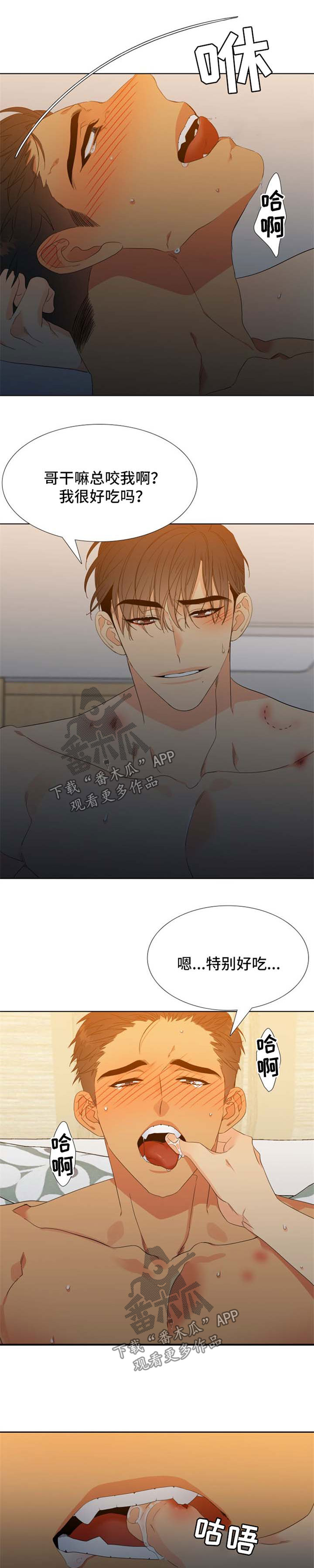 狼的香气漫画,第151章：【第二季】咬痕2图
